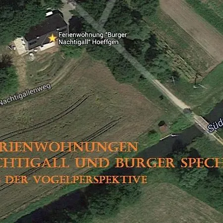 Burger Nachtigall