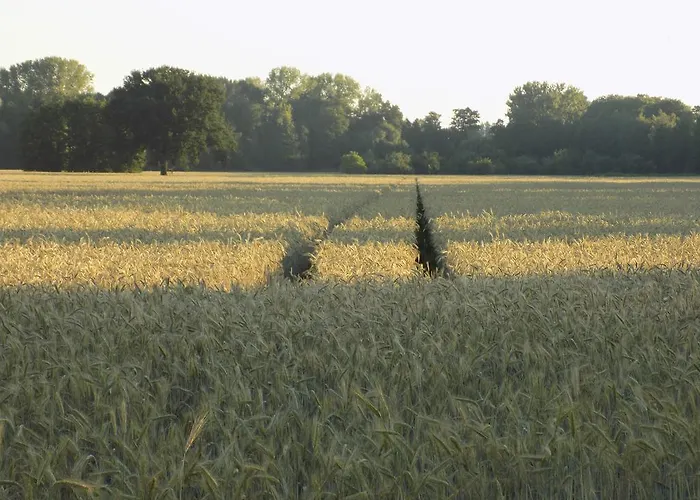 Lägenhet Burger Nachtigall